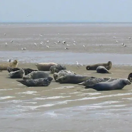 Comfortable Near The Wadden Sea Hippolytushoef